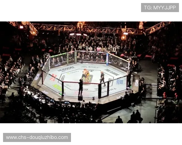 如何在斗球直播官网上轻松观看UFC格斗比赛直播内容